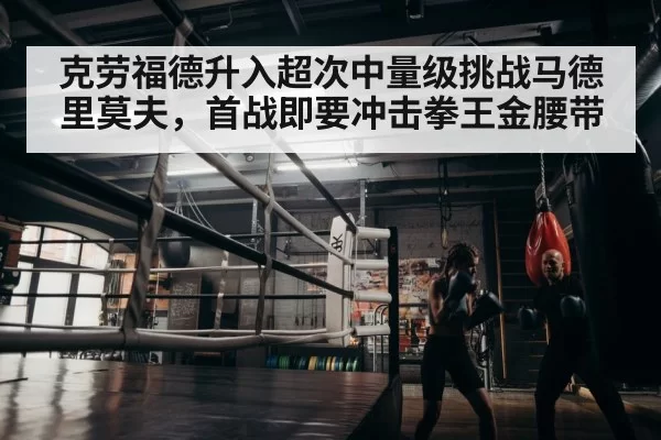 boxer training