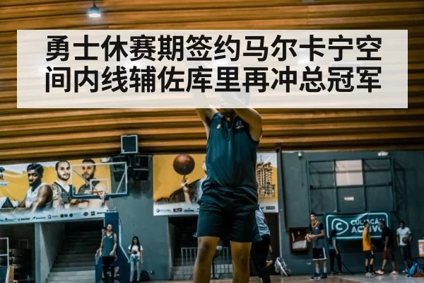勇士休赛期签约马尔卡宁空间内线辅佐库里再冲总冠军